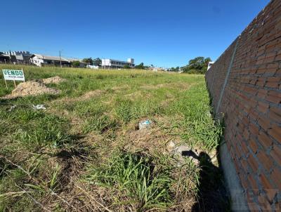 Terreno para Venda, em Os�rio, bairro Caravagio