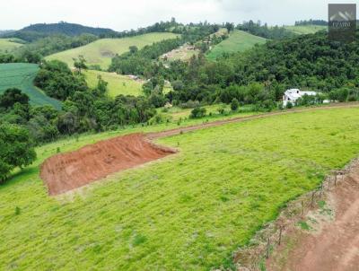Terreno para Venda, em Pedra Bela, bairro 