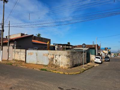 imagem-miniatura