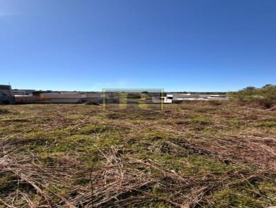 Terreno para Venda, em Guarapuava, bairro Alto Cascavel
