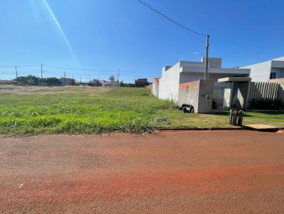 Terreno para Venda, em Nova Aurora, bairro Jardim Pinheiro, 1 banheiro