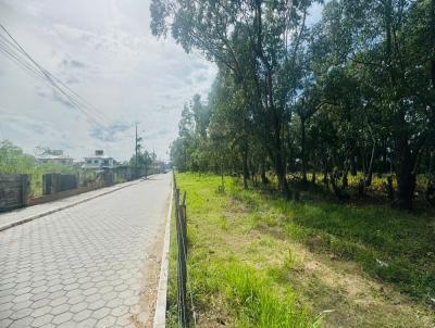 Terreno para Venda, em Florian�polis, bairro S�o Jo�o do Rio Vermelho