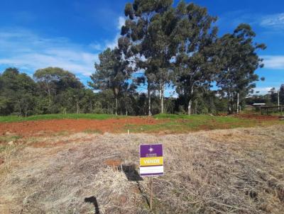 Terreno para Venda, em , bairro Loteamento Sol Nascente