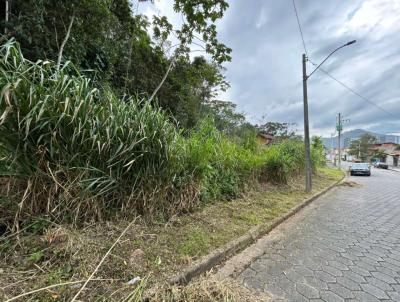 Terreno para Venda, em Caraguatatuba, bairro Martim de S�