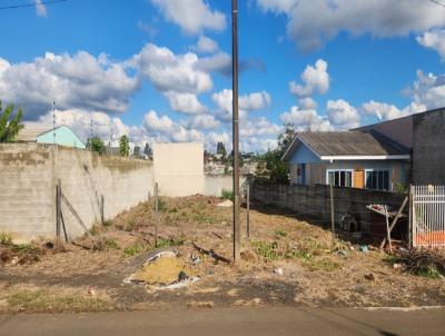 Terreno para Venda, em Guarapuava, bairro Vila Bela