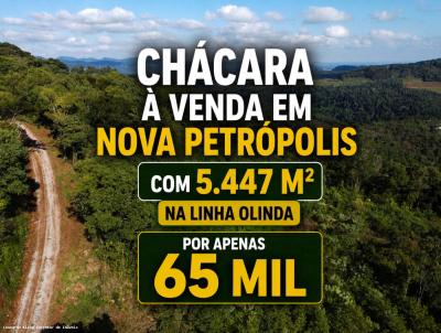S�tio / Ch�cara para Venda, em Nova Petr�polis, bairro Linha Olinda