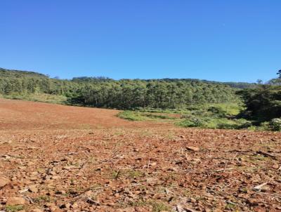 �rea Rural para Venda, em Brochier, bairro interior