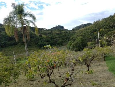 Terreno em Condom�nio para Venda, em Santo Ant�nio do Pinhal, bairro Rio Preto