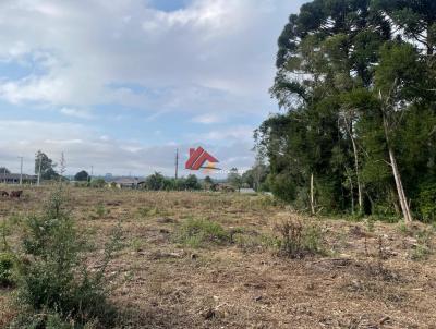 Terreno para Venda, em Tijucas do Sul, bairro Flores