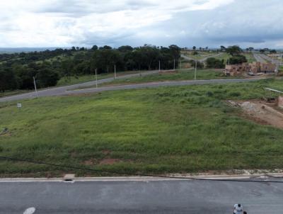 Lote para Venda, em Bela Vista de Goi�s, bairro Armando Ant�nio