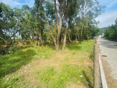Terreno para Venda, em Florian�polis, bairro S�o Jo�o do Rio Vermelho