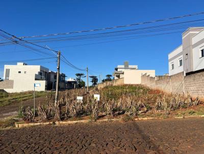 imagem-miniatura