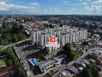 imagem-miniatura