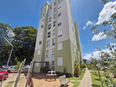 Apartamento para Venda, em Novo Hamburgo, bairro Vila Nova, 2 dormit�rios, 1 banheiro, 1 vaga