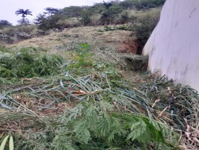 Lote para Venda, em Te�filo Otoni, bairro Ipiranga