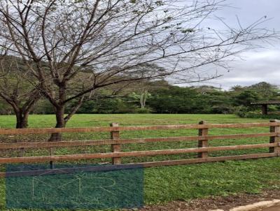 Casa 4 dormit�rios ou + para Venda, em Parais�polis, bairro Pinhalzinho, 4 dormit�rios, 5 banheiros, 4 su�tes, 2 vagas