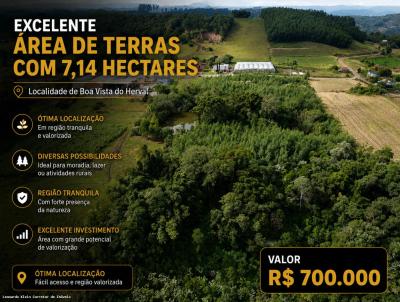 S�tio / Ch�cara para Venda, em Santa Maria do Herval, bairro Boa Vista do Herval