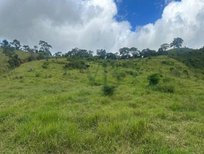 Fazenda para Venda, em Merc�s, bairro Zona Rural