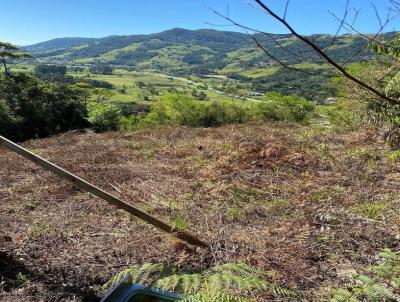 Im�veis para Investidor para Venda, em Paulo Lopes, bairro Morro Agudo