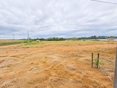 Terreno para Venda, em Barra Velha, bairro Sert�ozinho