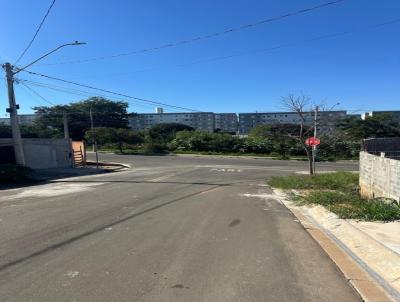 Terreno Residencial para Venda, em Hortol�ndia, bairro Jardim das Flores