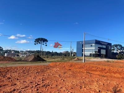 Terreno para Venda, em Tijucas do Sul, bairro Centro