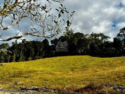 Terreno Rural para Venda, em Angelina, bairro MATO GROSSO