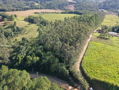 S�tio para Venda, em Cocal do Sul, bairro 