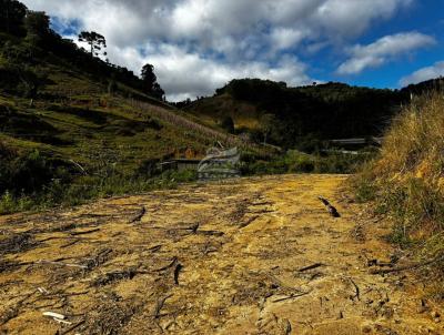Terreno Rural para Venda, em Angelina, bairro MATO GROSSO
