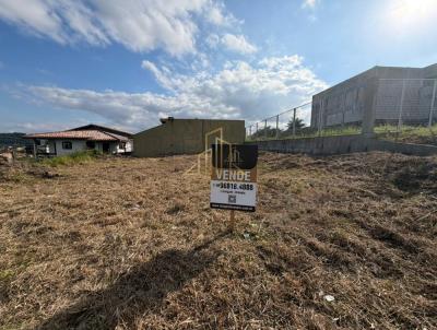 Terreno para Venda, em Crici�ma, bairro Rio Maina