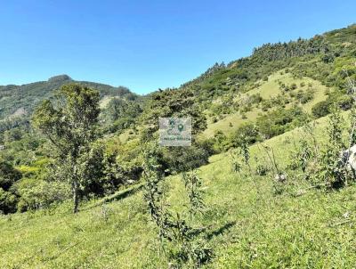 S�tio para Venda, em Imaru�, bairro Ribeir�o de Imaru�