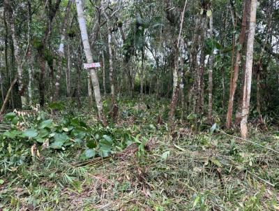 Terreno para Venda, em Itanha�m, bairro Maramba 2