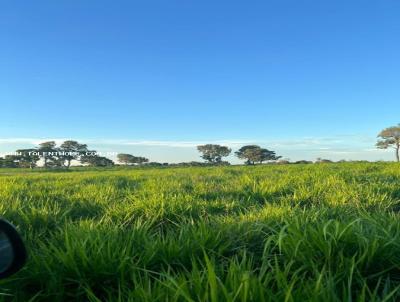 Fazenda para Venda, em Miranda, bairro 