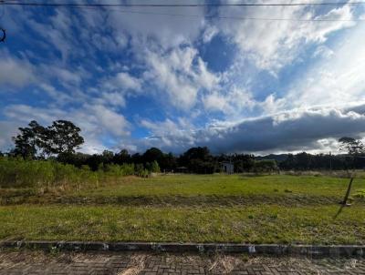 Terreno para Venda, em Os�rio, bairro Palmital