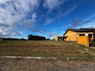 Terreno para Venda, em Os�rio, bairro Palmital