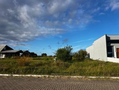 Terreno para Venda, em Os�rio, bairro Palmital
