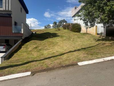 imagem-miniatura