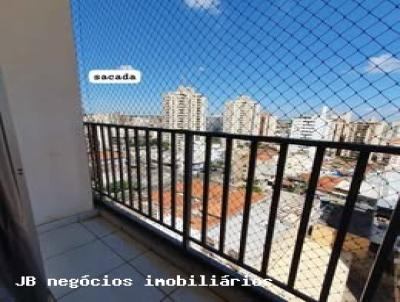 imagem-miniatura