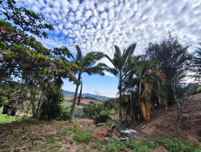 Terreno para Venda, em Toledo, bairro 