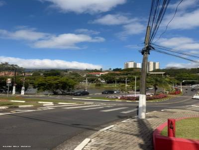 imagem-miniatura