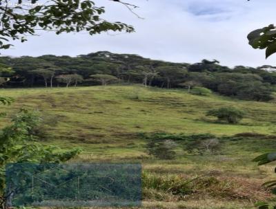 �rea para Venda, em Parais�polis, bairro Pinhalzinho