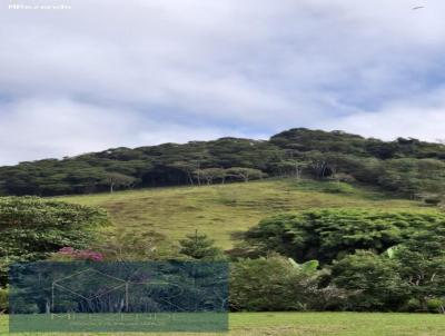 �rea para Venda, em Parais�polis, bairro Pinhalzinho