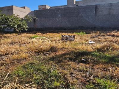Terreno Comercial para Venda, em Indaiatuba, bairro Residencial Araras