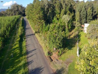Terreno para Venda, em Uni�o da Vit�ria, bairro S�o Sebasti�o