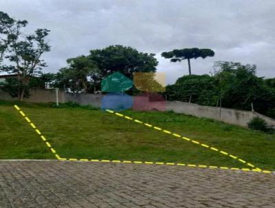 Terreno para Venda, em Campo Largo, bairro �guas Claras