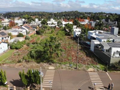 Terreno para Venda, em Santa Rosa, bairro Novo Horizonte