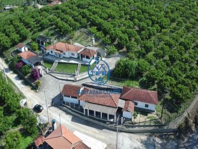 imagem-miniatura
