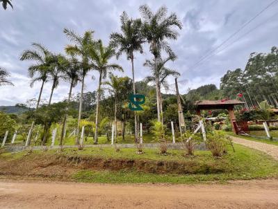 S�tio para Venda, em Api�na, bairro Vargem Grande, 3 dormit�rios, 2 banheiros, 2 vagas