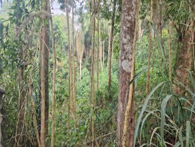Terreno para Venda, em Aruj�, bairro S�o Domingos