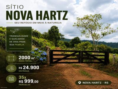 S�tio para Venda, em Nova Hartz, bairro 